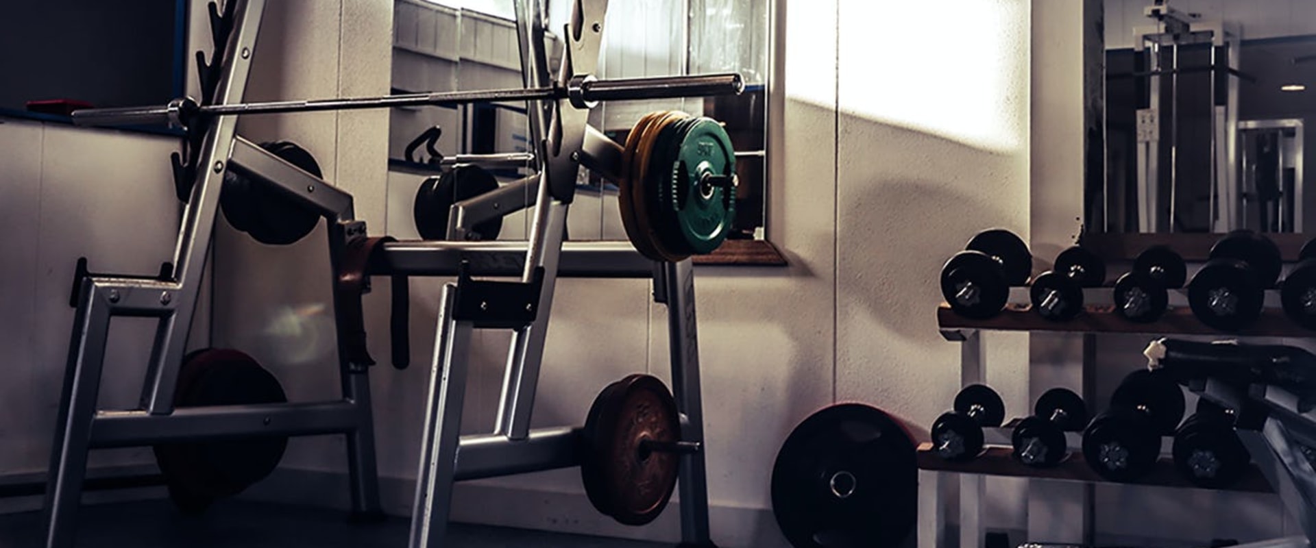 Everything You Need to Know About Barbells and Weight Plates